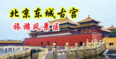 又粗又长又硬操又逼中国北京-东城古宫旅游风景区